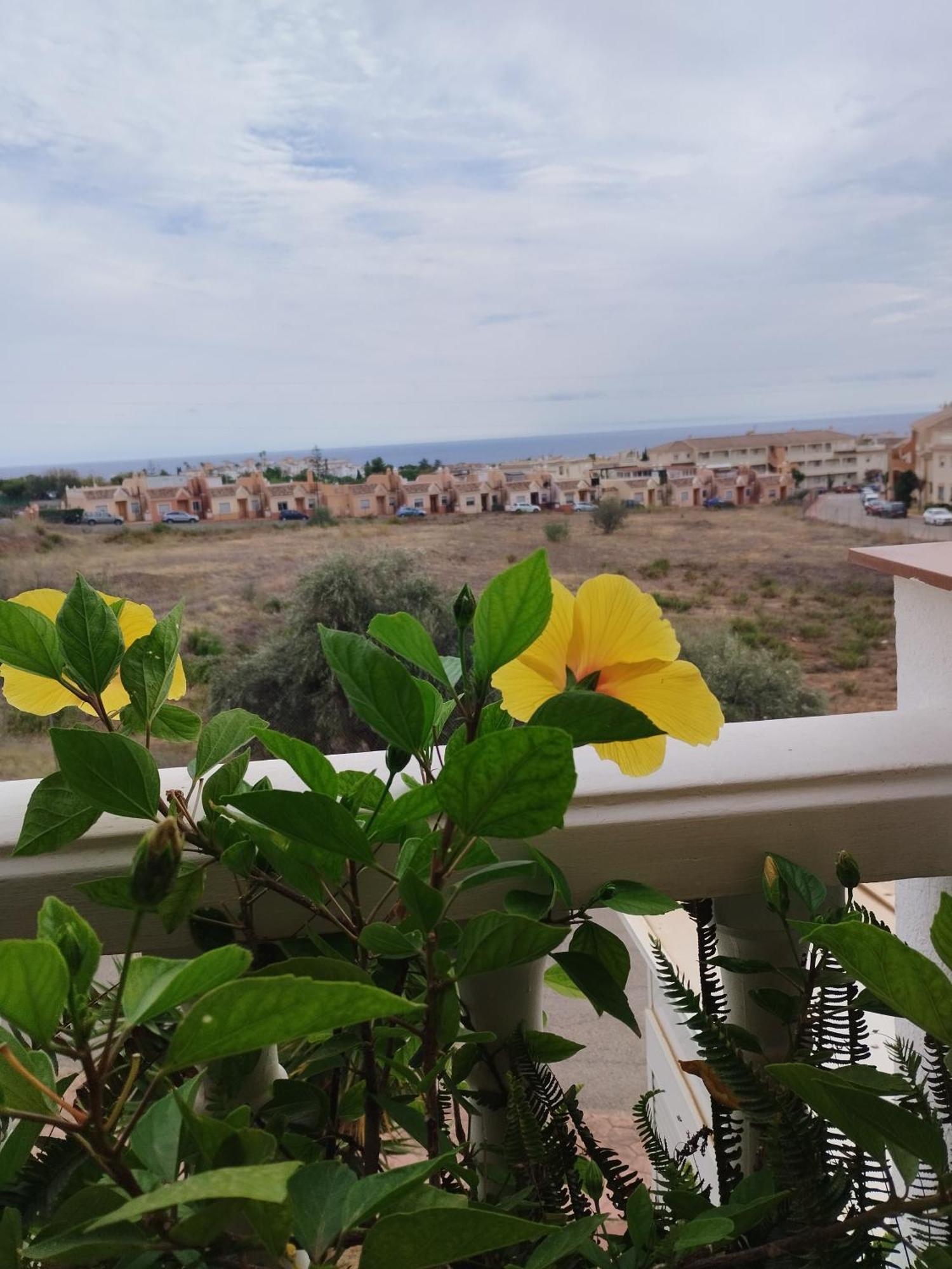Apartment Casa Carino *
